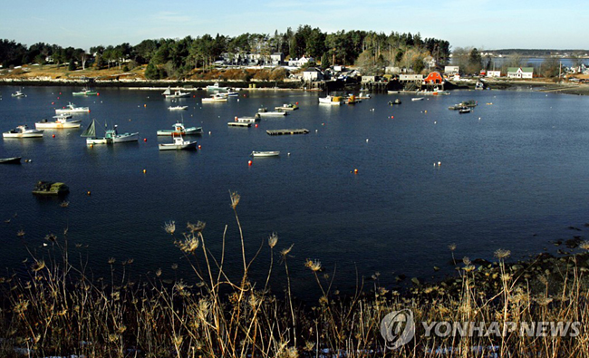 백상아리 공격에 따른 사망 사건이 발생한 미국 메인주 베일리 섬[AP=연합뉴스 자료사진]