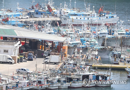 (서귀포=연합뉴스)  제5호 태풍 ‘장미’가 제주도 동쪽 해상 방향으로 북진하는 가운데 9일 오후 제주 서귀포항에 어선들이 대피를 위해 모여들고 있다. 2020.8.9