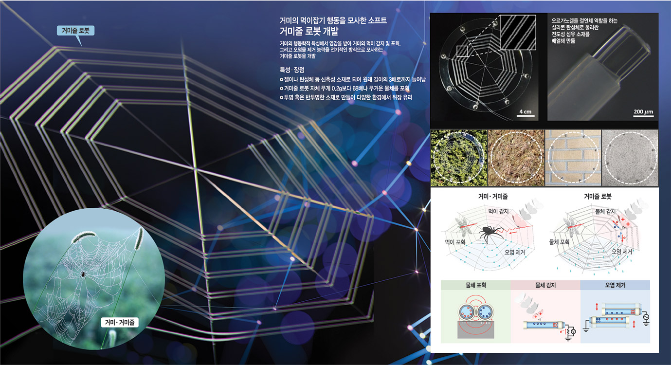 그래픽 = 송재우 기자