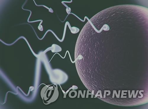수정 과정 [게티이미지뱅크 제공]
