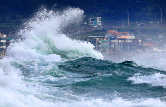 25일 오전 제주 서귀포시 안덕면 사계리 해안가에 강한 파도가 몰아치고 있다. 기상청은 제8호 태풍 ‘바비’가 이날 제주 남쪽 해상으로 올라와 26일 오후쯤 제주도에 가장 가까워질 것이라고 분석했다. 연합뉴스