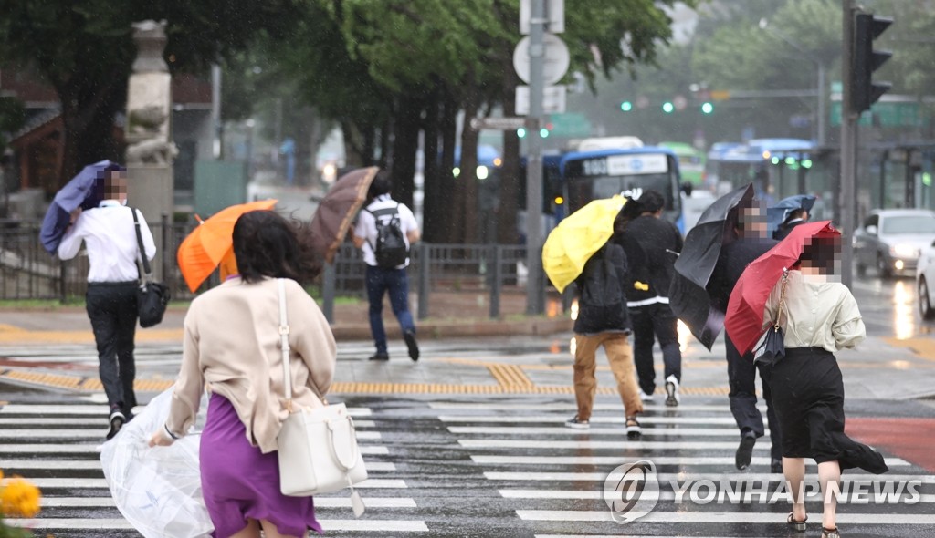 비바람 [연합뉴스 자료사진]