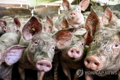 [EPA=자료사진]