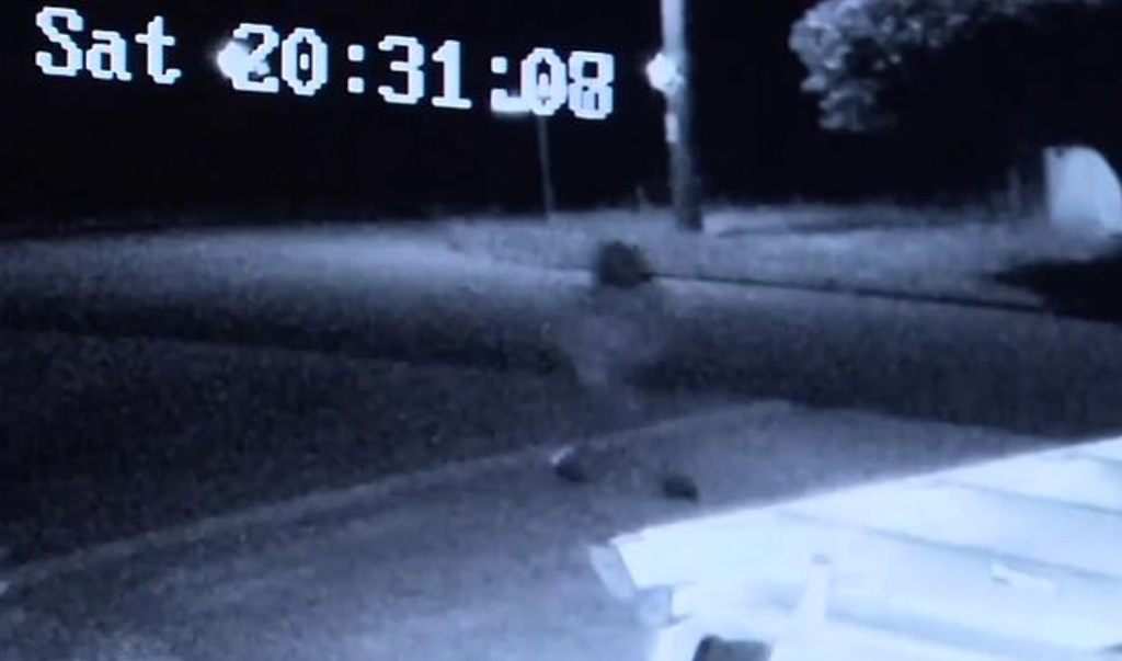 감시카메라 영상에 포착된 차량 도둑 모습 [웨스트오스트레일리아주 경찰 제공. 재판매 및 DB 금지]