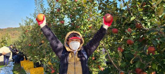 <떠나가는 농촌에서 찾아오는 농촌으로>“도시선 돈 필요했지만 농촌은 나를 필요… 청년들 할 일 널려있어”