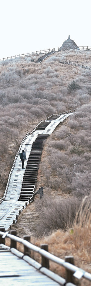 이른 새벽, 노고단 정상으로 오르는 길 주변에는 습기가 나뭇가지에 얼어붙어 반짝였다. 나무 덱에도 성에가 끼어 금속처럼 희게 빛났다.