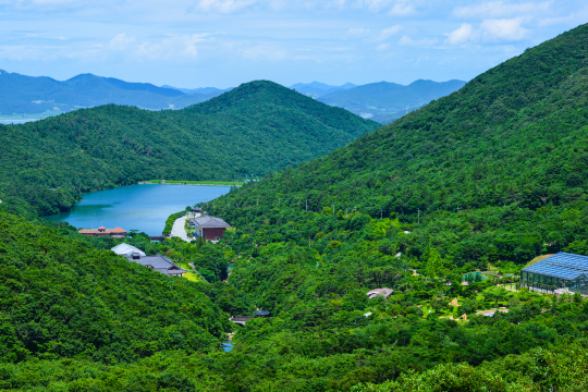 국립 난대수목원이 조성될 전남 완도군 군외면의 완도수목원.  전남도청 제공