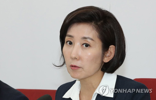 국민의힘 나경원 전 의원  [연합뉴스 자료사진]
