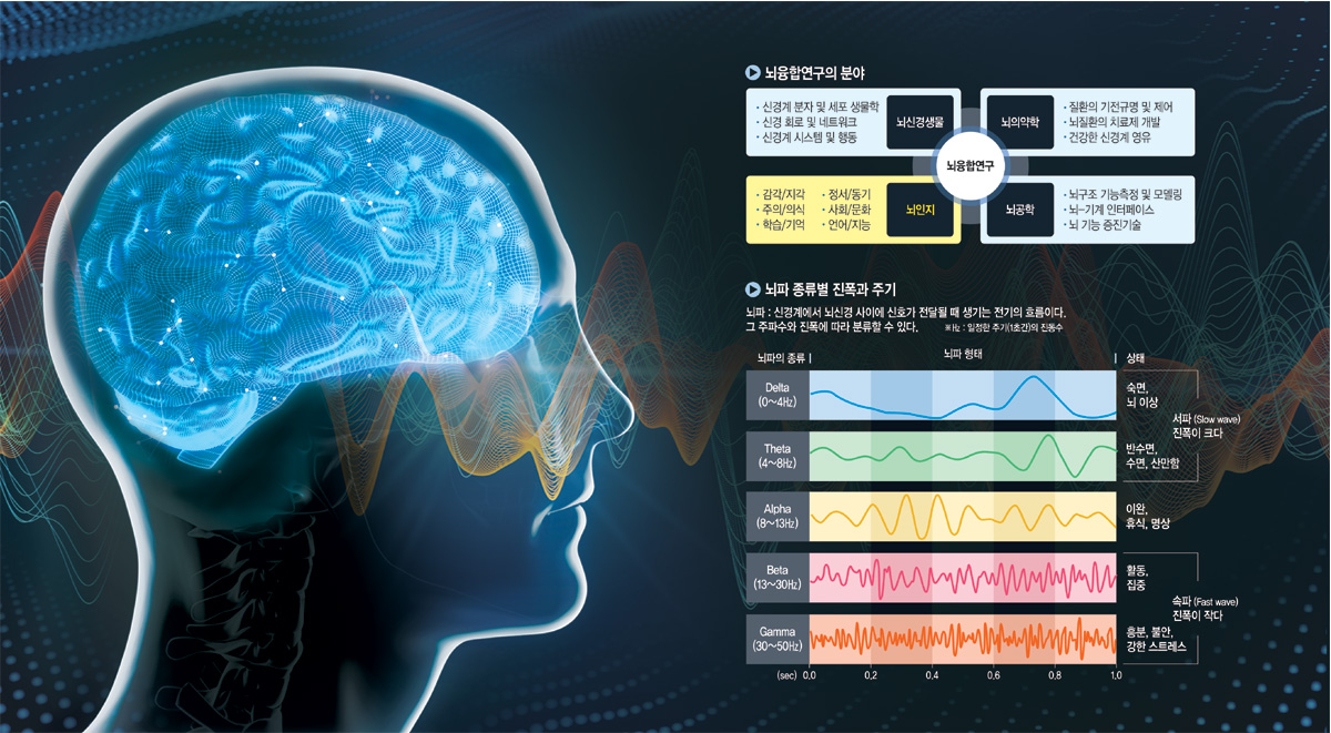 그래픽 = 전승훈 기자