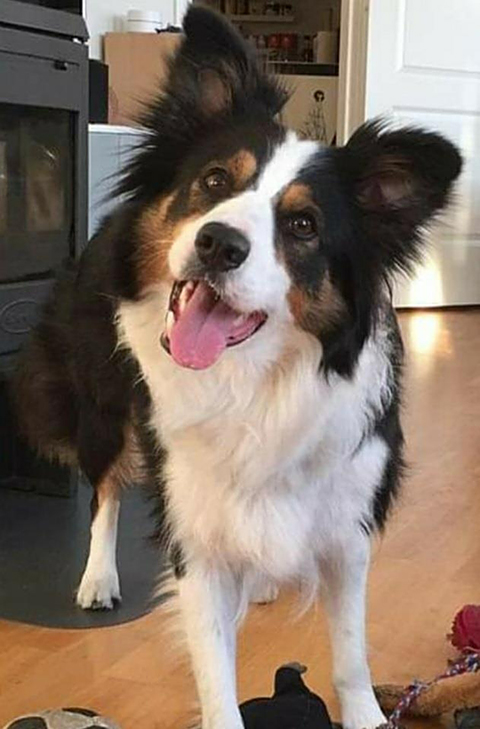 페이스북 갈무리. 재판매 및 DB 금지.