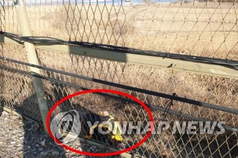 (파주=연합뉴스) 2일 오전 경기 파주시 임진강 부근 철책 너머에 20대 남성이 쓰러져 있다. 이 남성은 인근에서 침수 피해 조사 작업을 하던 직원에 의해 발견돼 병원으로 이송됐다. 2021.2.2 [독자 제공. 재판매 및 DB 금지]