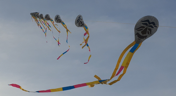 경북 안동 전통문화콘텐츠개발사업단이 정월대보름 ‘송액영복(送厄迎福)’을 기원하며 25일 안동시 낙동강 변에서 띄운 전통 가오리연. 안동 전통문화콘텐츠개발사업단 제공