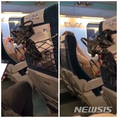 [대구=뉴시스]KTX 승무원으로부터 제지를 받았음에도 음식물 섭취하고 전화통화하며 행패를 부린 여성이 인터넷 커뮤니티를 통해 알려져 논란이 일고 있다. 사진은 보배드림 영상 갈무리.
