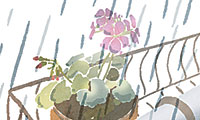 <새로나온 詩>소나기 - 손병걸