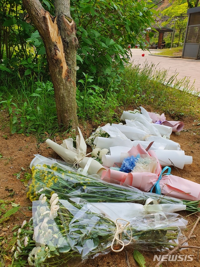 [청주=뉴시스] 지난 12일 여중생 2명이 쓰러진 채 발견된 충북 청주시 청원구 한 아파트 단지 내 나무 밑에 이들의 죽음을 추모하는 꽃다발들이 놓여 있다. 2021.05.14