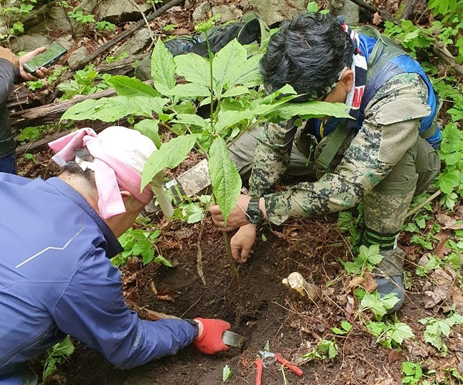 [제천시 제공. 재판매 및 DB 금지]
