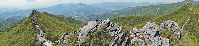 황석산 정상 부근의 경관. 산정을 따라 물고기 지느러미처럼 일어선 기이한 암릉이 길게 이어져 있다. 황석산성은 이 거친 암릉에 덧대 지어졌다. 난공불락처럼 보이는 황석산성은 정유재란 때 왜병에 의해 함락됐다. 그때 황석산은 병사와 주민들이 흘린 피로 물들었다.