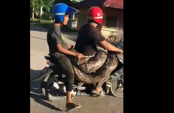 [페이스북 Info Roadblock JPJ/POLIS·재판매 및 DB 금지]