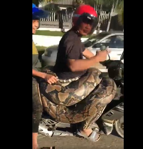 [페이스북 Info Roadblock JPJ/POLIS·재판매 및 DB 금지]