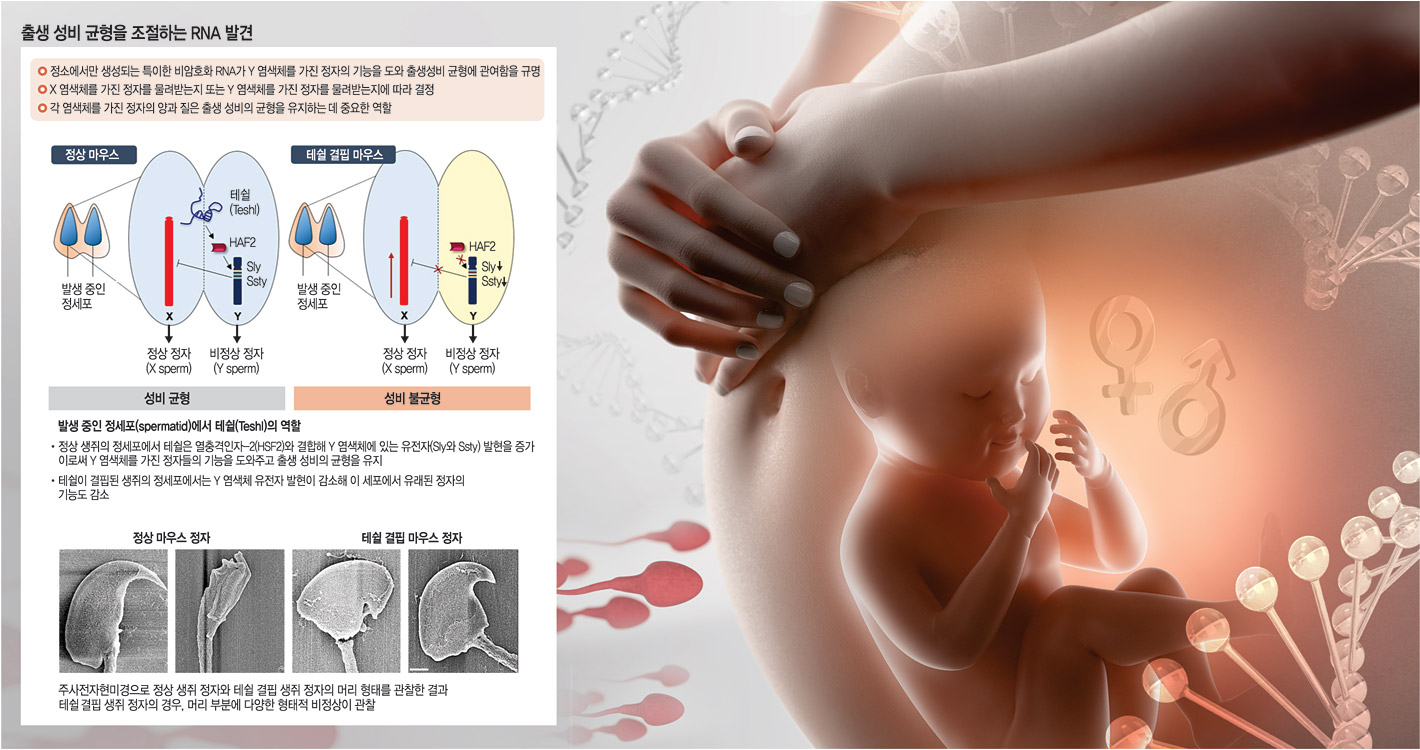 그래픽 = 송재우 기자