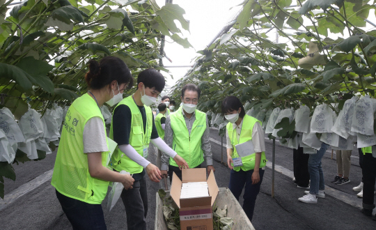 이성희(왼쪽 세 번째) 농협중앙회장이 지난 6일 농협중앙회 신규 직원들과 함께 경기 용인시 백암면의 한 포도 농가에서 일손돕기에 참여하고 있다.  농협중앙회 제공