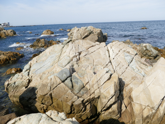 6000만~7000만 년 전인 중생대 백악기 말에 생성된 울산 동구 주전동의 포유암.  울산시청 제공