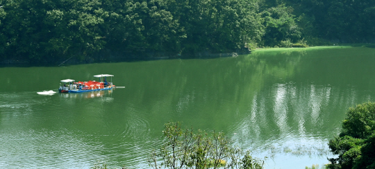 9일 오후 수자원공사 직원들이 녹색 물감을 풀어놓은 듯한 대청호에서 녹조 제거 작업을 하고 있다.