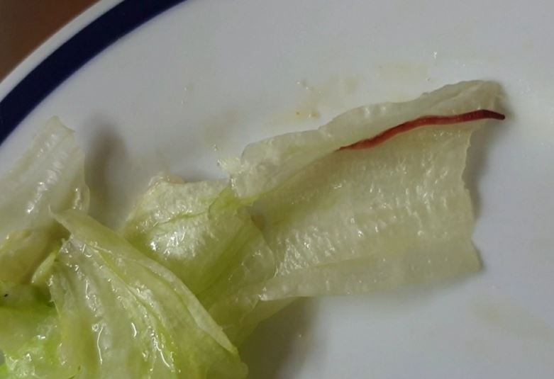 벌레 나온 양상추 [제보자 A씨 제공. 재판매 및 DB금지]