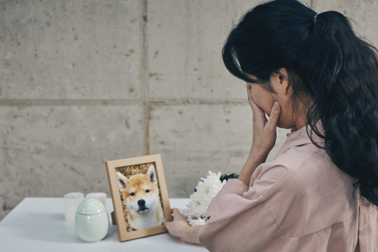 게티이미지뱅크