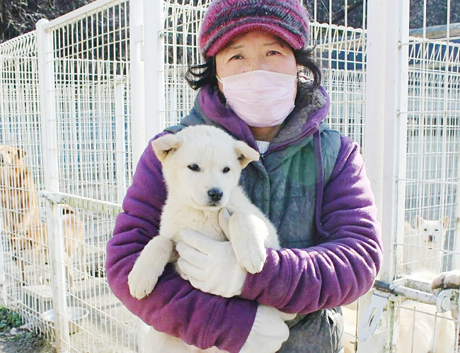 대전 유성구의 사설 유기견 보호시설 시온쉼터의 오은숙 소장이 강아지를 안고 있다. 오은숙 소장 제공. 재판매 및 DB 금지.