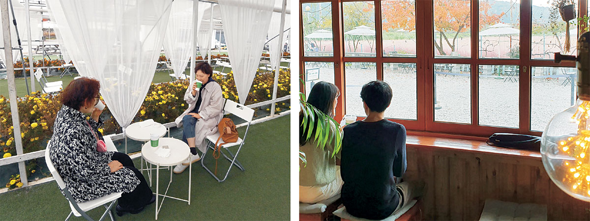 강원 춘천시 신북읍에 위치한 경관농업법인 팀파머스의 유기농 카페에서 방문객들이 차를 마시며 농장에서 재배하는 꽃을 감상하고 있다. 김선규 기자