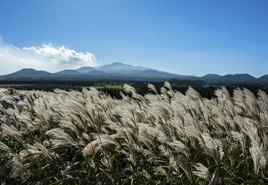 게티이미지뱅크