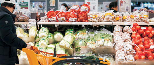 물가 상승세가 계속되면서 밥상 물가가 고공 행진을 하고 있다. 19일 오후 서울 시내 한 대형마트를 찾은 시민들이 장을 보고 있다.  뉴시스