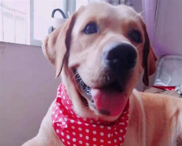 [바이두 캡처. 재판매 및 DB 금지]