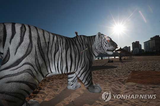 (부산=연합뉴스) 30일 부산 수영구 광안리해수욕장에 임인년을 맞아 검은 호랑이 조형물이 설치돼 있다. 2021.12.30