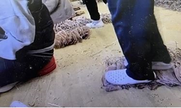 건조 오징어를 만들면서 발로 밟는 모습[인터넷 커뮤니티 영상 촬영. 재판매 및 DB 금지]