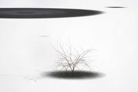 황문성, 숨 쉬는 대지, 75×55㎝, 사진, 2021