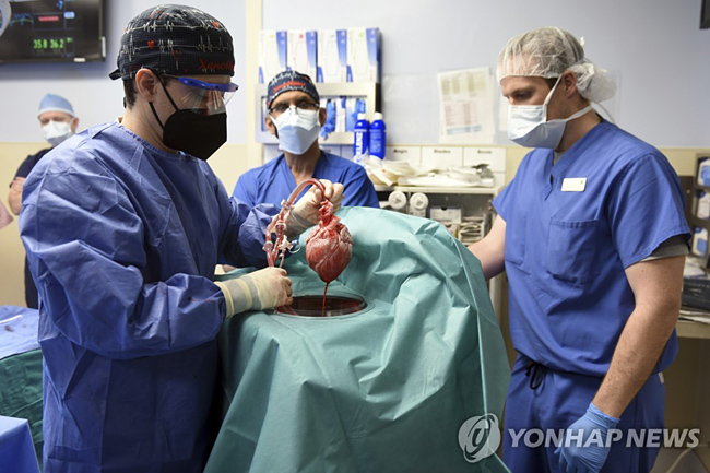 [매릴랜드대 의대 제공. AP=연합뉴스. 재판매 및 DB 금지]