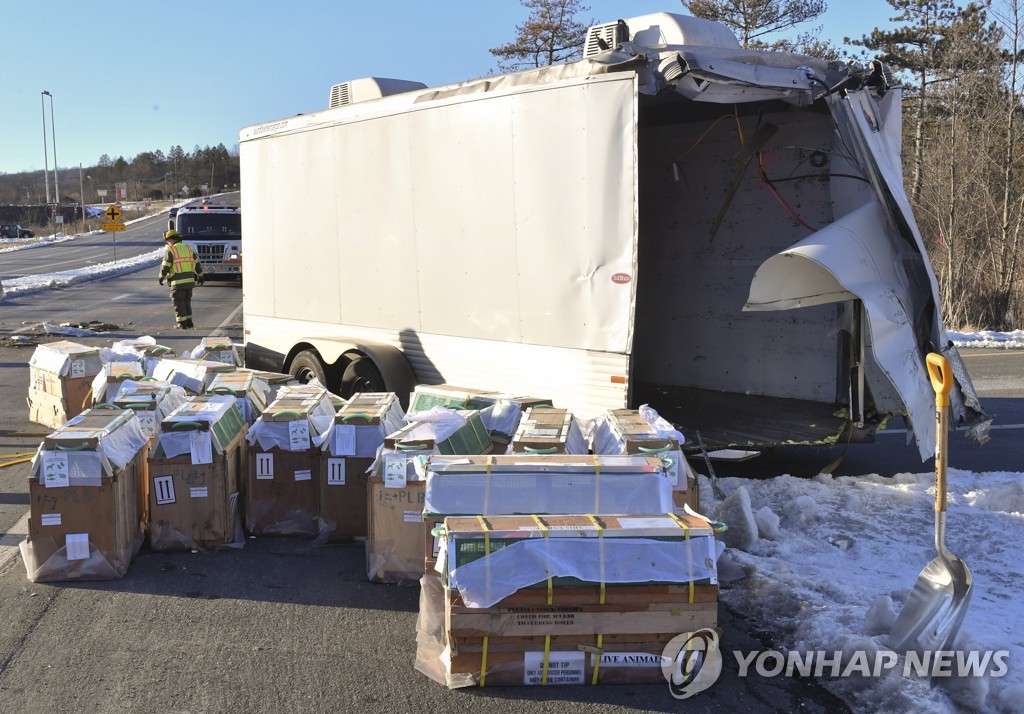실험용 원숭이 싣고 가다 사고로 부서진 트레일러[AP=연합뉴스]