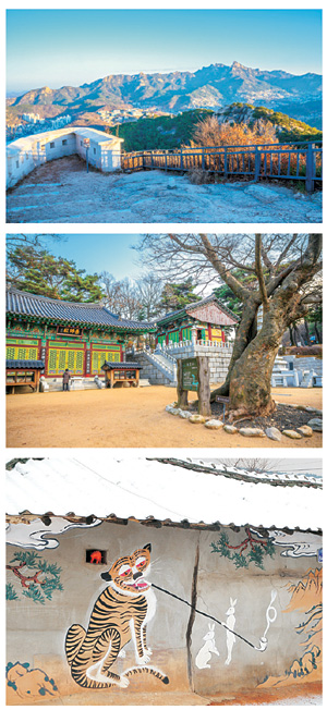 사진 위부터 범바위를 지나 인왕산 정상까지 올라서 바라본 북한산, 호암산의 호랑이 바위 기운을 누르고자 지었다는 절 호압사, 경기 안성의 복거마을 담에 그려진 담배 피우는 호랑이 민화.
