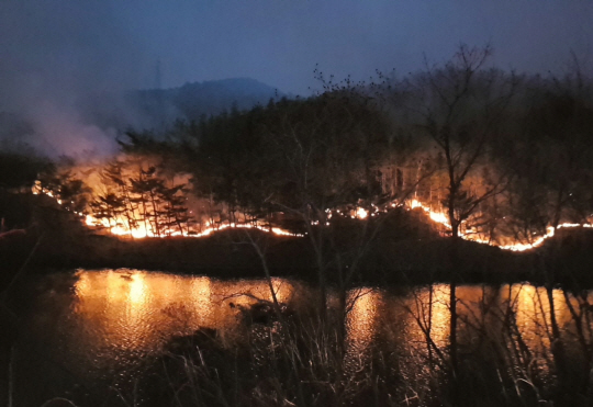 17일 오전 경북 영덕군 영덕읍 화천리 일대 산에서 불길이 번지고 있다. 15일 지품면 삼화리 일대에서 발생한 이 불은 잠시 잡혔다가 16일 강풍으로 재발화했다.  연합뉴스