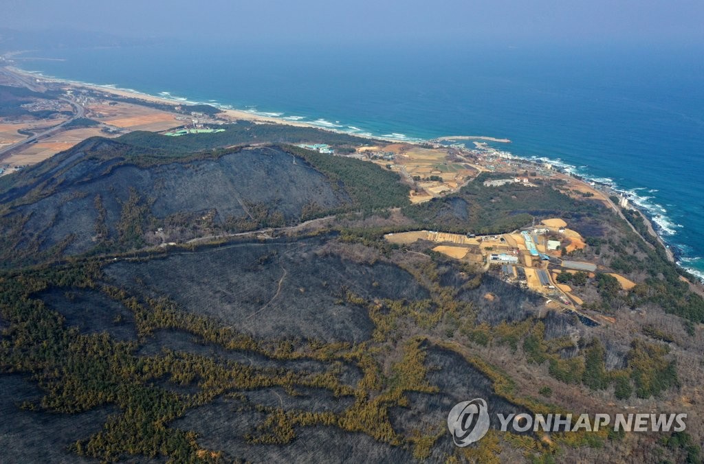 (동해=연합뉴스) 강원 곳곳에서 닷새째 산불이 이어지는 8일 강원 동해시 일원의 산림 곳곳이 검게 그을려 있다. 2022.3.8