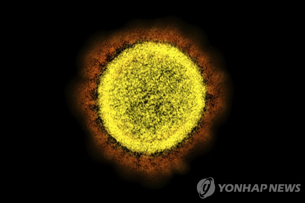 코로나19 바이러스 전자현미경 사진[AP 연합뉴스 자료사진. 재판매 및 DB 금지]