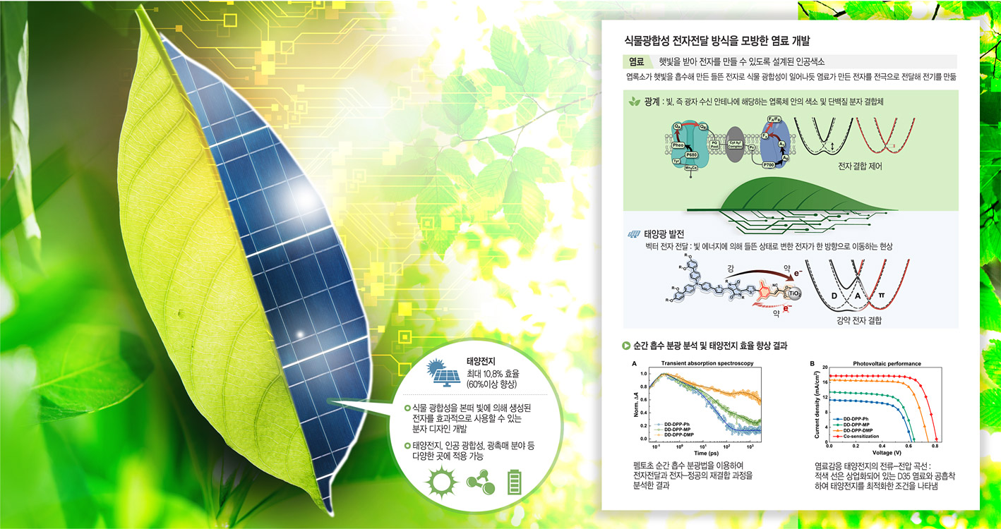 그래픽 = 송재우 기자