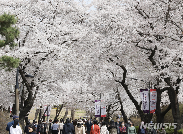 [서울=뉴시스]고범준 기자 = 지난해 4월 서울 광진구 어린이대공원에서 시민들이 활짝 핀 벚꽃길을 지나가며 여유로운 시간을 보내고 있다. 2022.0402. bjko@newsis.com