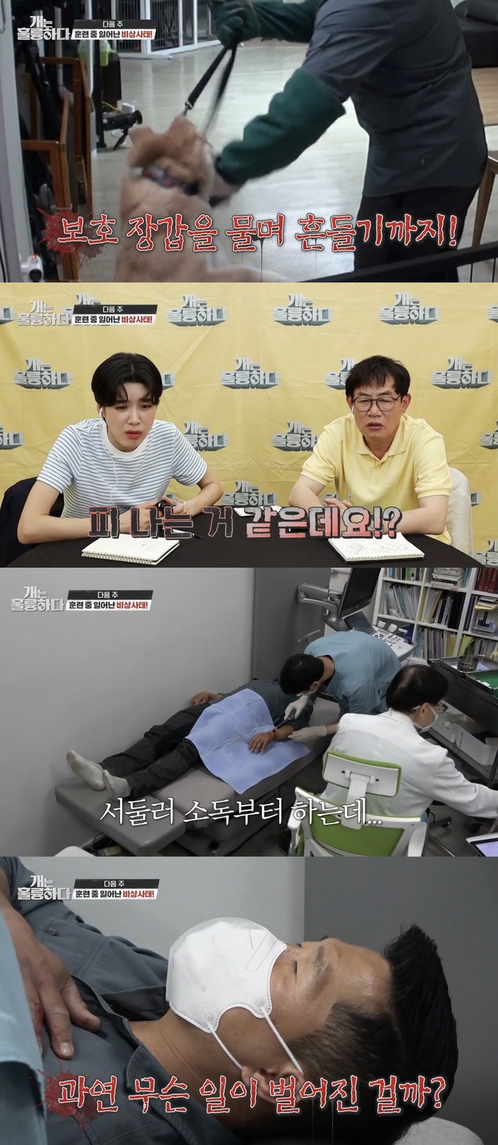 [서울=뉴시스]강형욱 훈련사. 2022.05.17.(사진=KBS 2TV ‘개는 훌륭하다’ 방송 캡처)