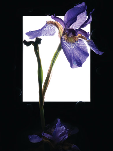 박상훈 작, ‘화양연화’.