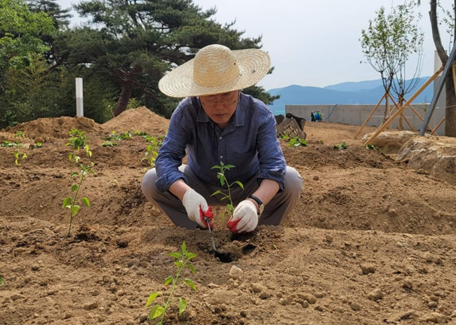 문재인 전 대통령이 경남 양산시 사저에서 모종을 심고 있다. 문 전 대통령 페이스북