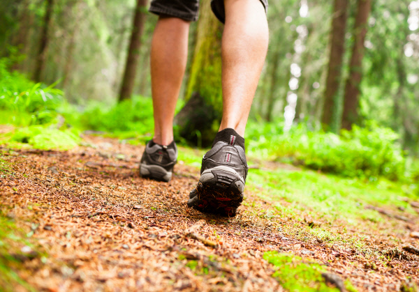 뇌를 깨우고 싶다면 지금 일어나 걸어라…황홀한 ‘걷기의 세계’