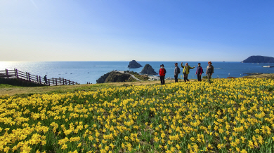 오륙도 품은 이기대길. ‘부산의아름다운길’ 제공